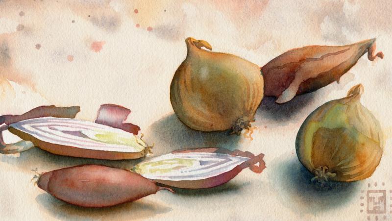 Aquarell für Anfänger - die Lasurtechnik
