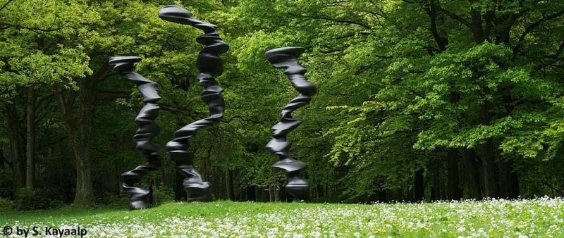 Schreibwerkstatt im Skulpturenpark: Kunst und Natur