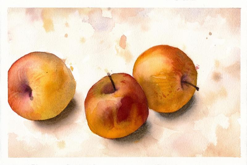 Ganz einfach malen lernen - Stillleben mit Äpfeln in Aquarell