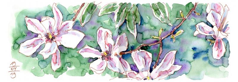 Floral Sketching - Botanische Skizzen